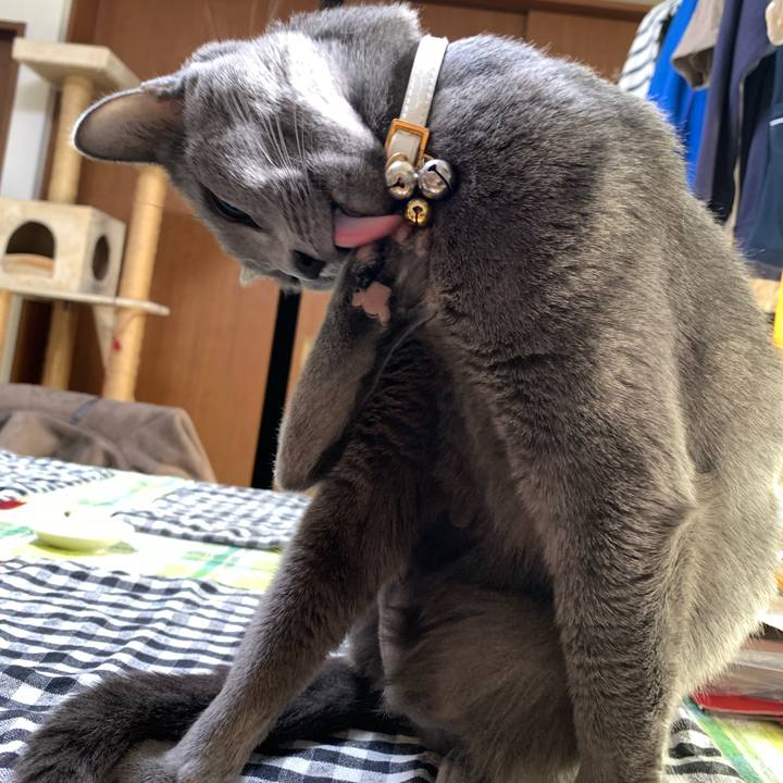 B7821242 a579 4906 8f77 60a766cc31d7 1643519428793