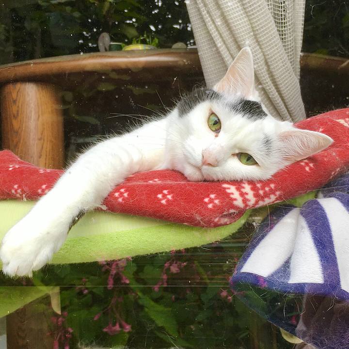 B78225aa 92ea 4805 a6e0 9dbe22858549 1600068350382