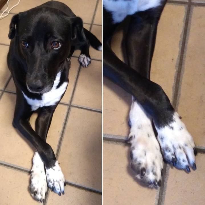 B78241f8 8aa9 4e95 8544 da11e57d4ed5 1600769416350