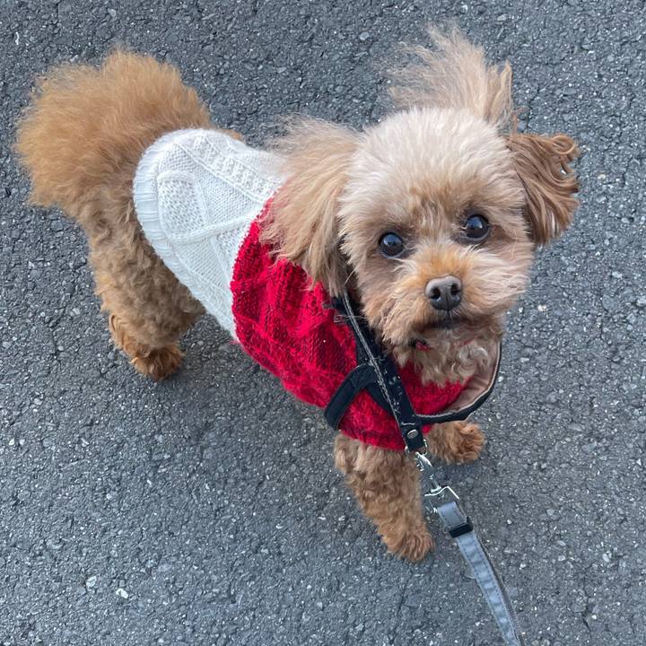 B782686a 00f8 43db 8659 9c8867c02f1a 1707609842452