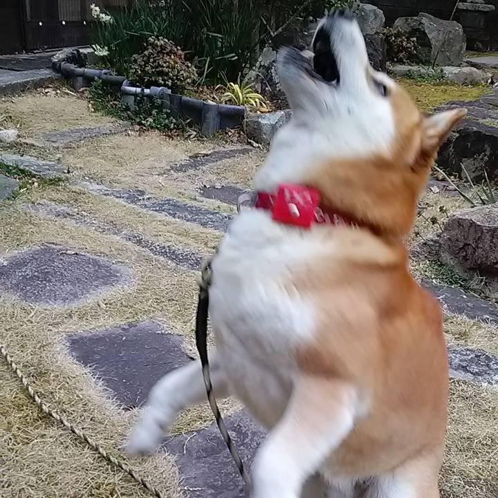 B782c46a 33c8 48b9 90cc d4c945601dbc 1646610836886