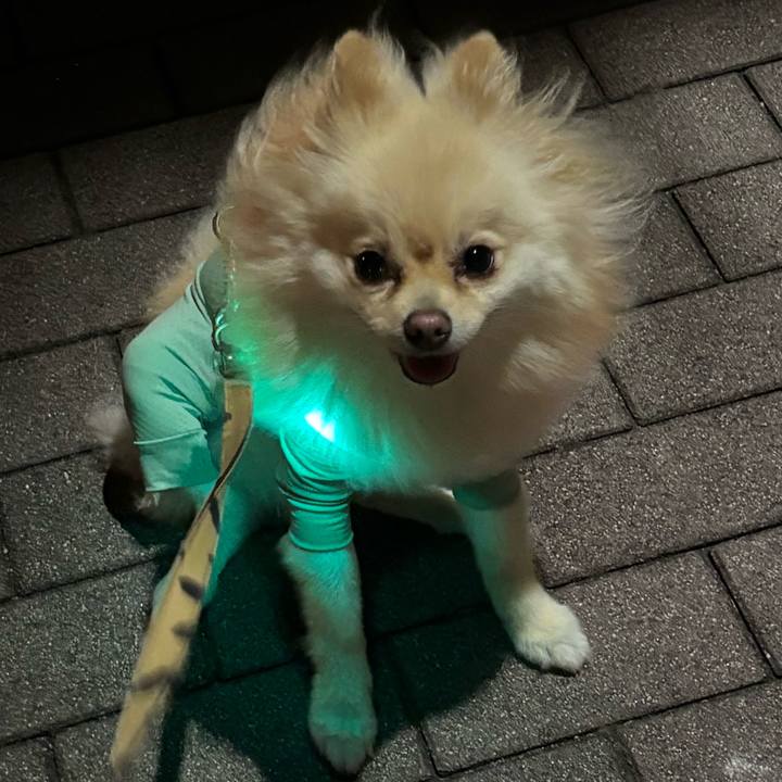 B782ddfd 3d6e 4ff6 8ff0 044099c5c288 1752336499214