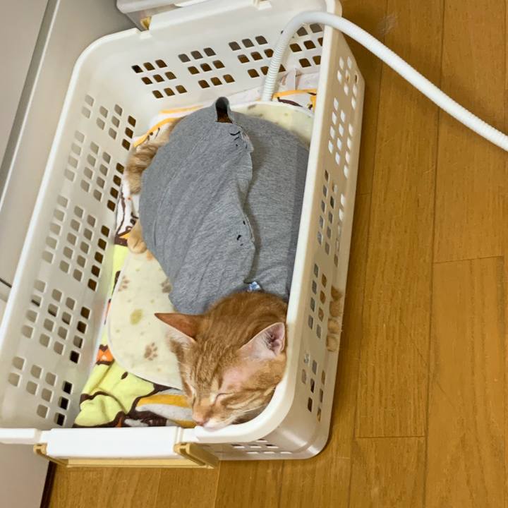 B782fce5 ad10 48c4 ac82 cef75602aa0e 1574436825220