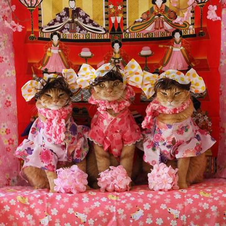 B7830bd4 2f35 4e9f b03c 9ffde7bda4a6 1583202481460