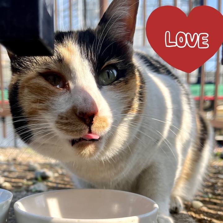 B7835d64 a18d 4a5d b37c 1282e8b8e212 1651538598302