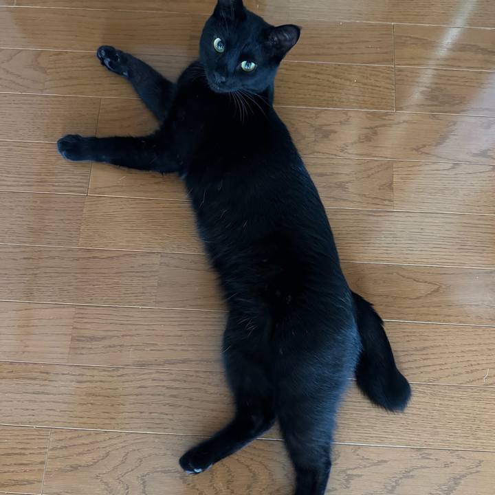 B7839132 2909 4764 824c 7e43c553fdc0 1750202708994