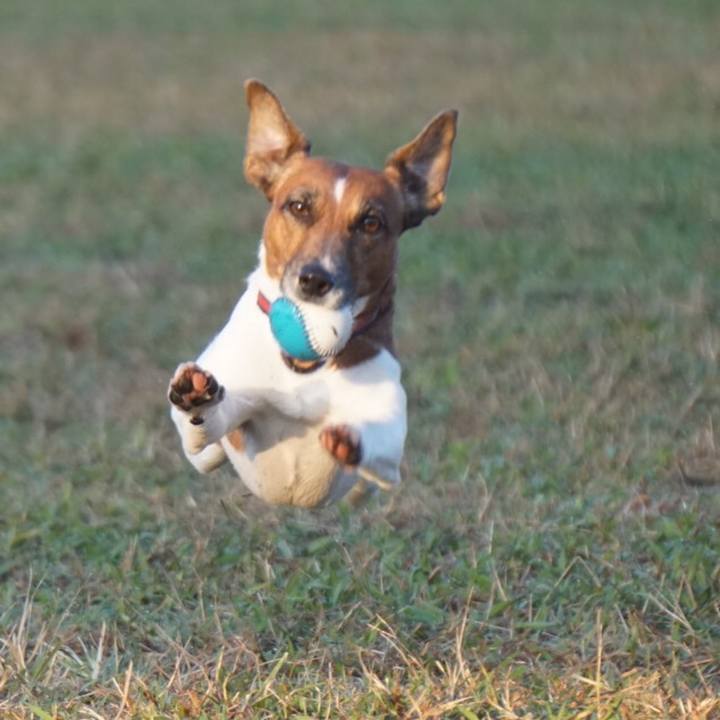 B7839ba8 e855 4fd4 80cd b4de2ba81d52 1543445984066