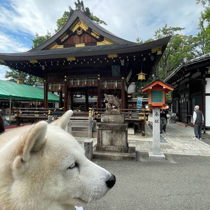 B783f27f bccf 4d00 b981 c681f07d3f8a 1666566514637