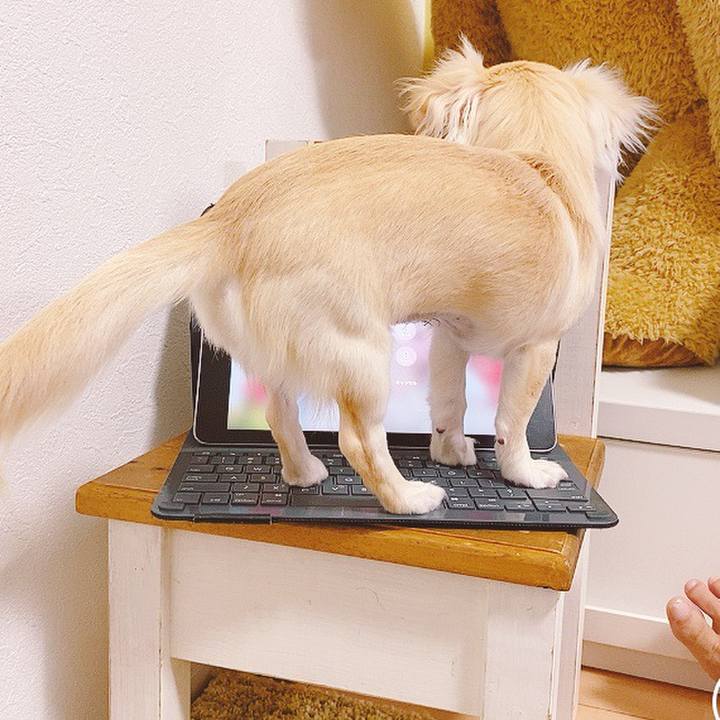 B784441e 5870 4684 a23b bb92f7573949 1598662183918