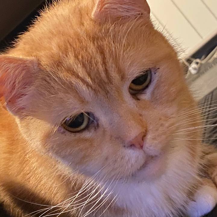 B7845d2c d7f9 434b bc9a 3a5bd4096488 1588761579007