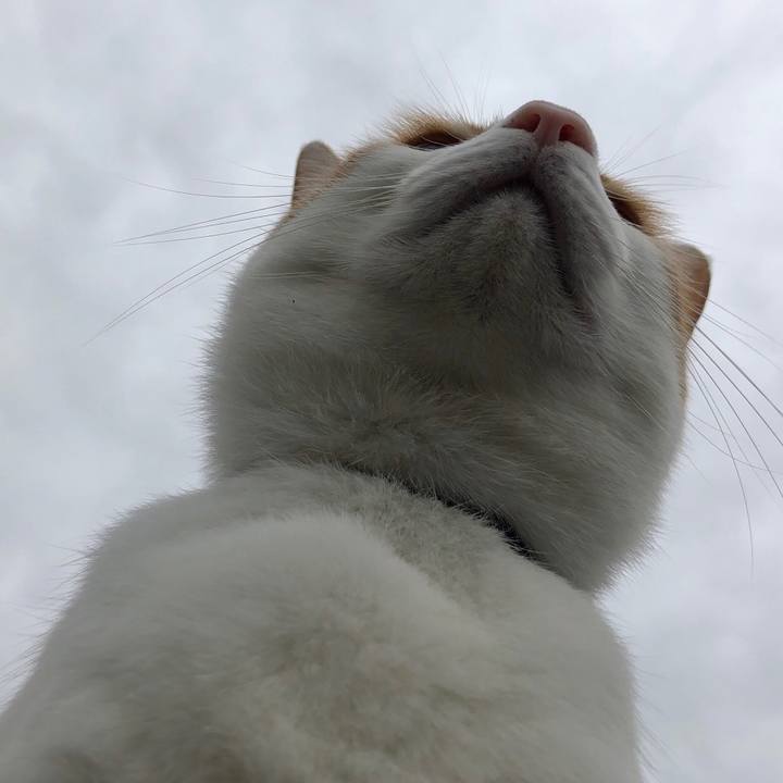 B7846d79 cab5 42db a181 d9b2c3cc85d3 1539570808048