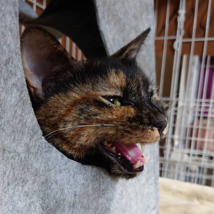 B784921c c7ba 4de9 a893 9d965243d9d2 1683813325623