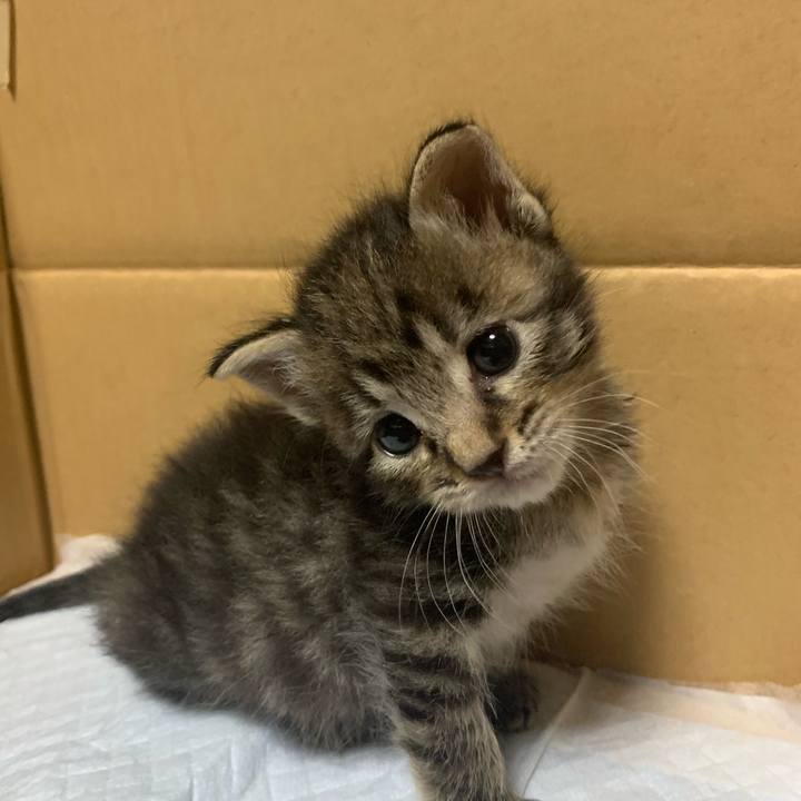 B784a73d e6df 4eff 88d8 8d1c82d36b6b 1563186360248