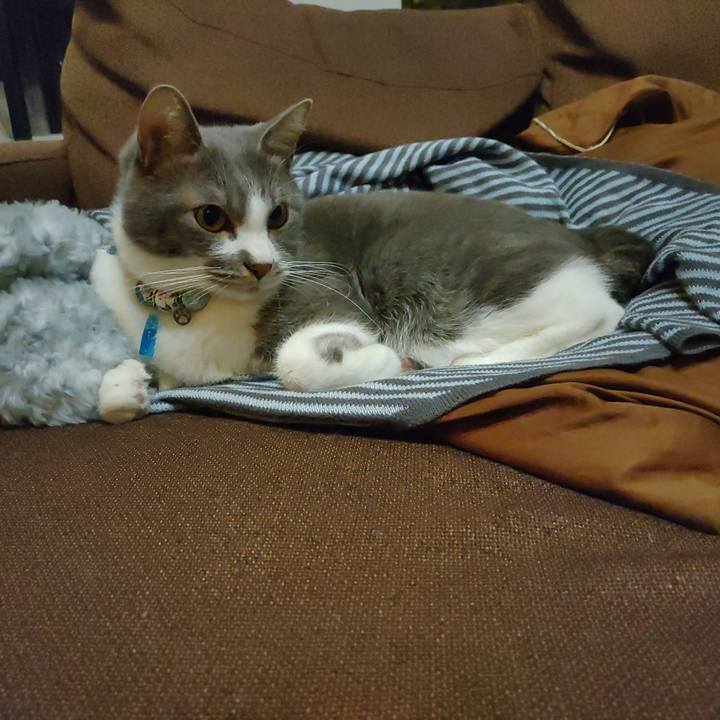 B784d918 e11c 4c36 ae8d 9cea2a631cf2 1668606813303