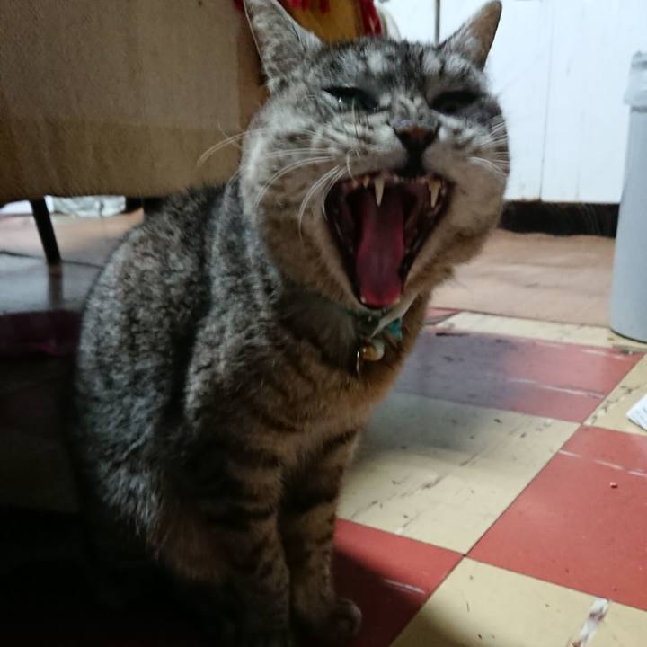 B7853654 fceb 4a02 a716 717dbf21dfcf 1554754180160