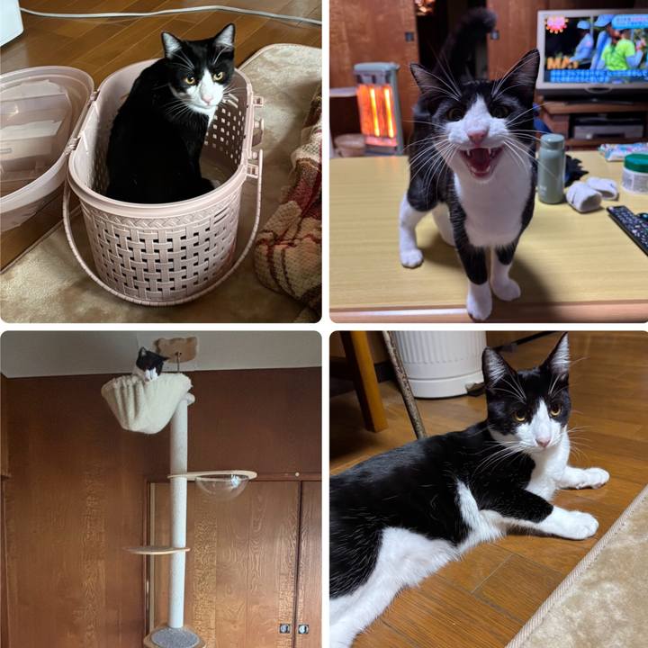 B7855671 2158 4297 a496 a7196c389329 1761957736244