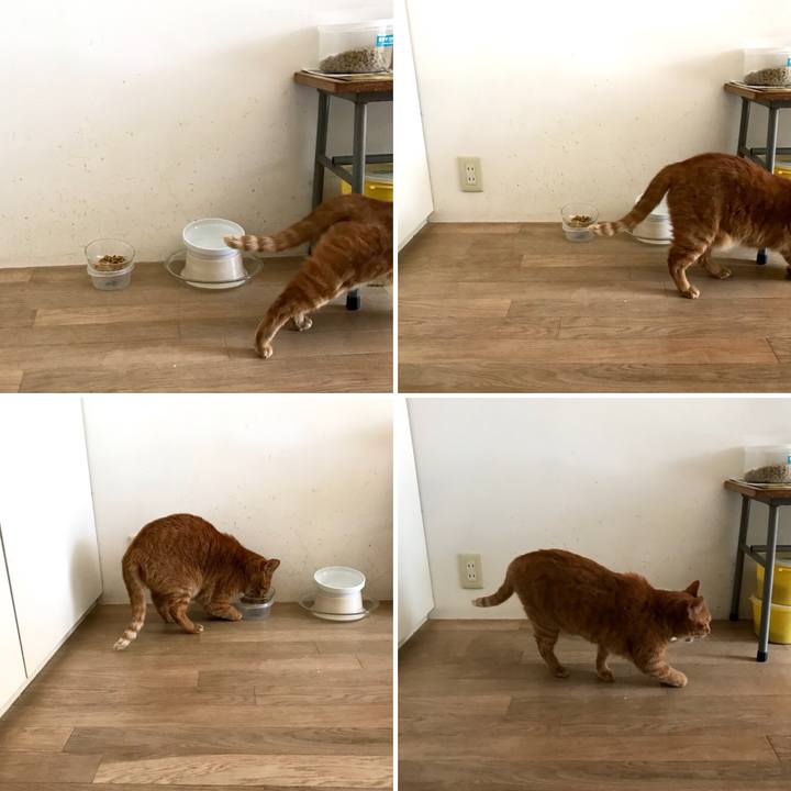 B7855a88 d9b9 4a99 b1ab 2c5fba36e63f 1512974436647