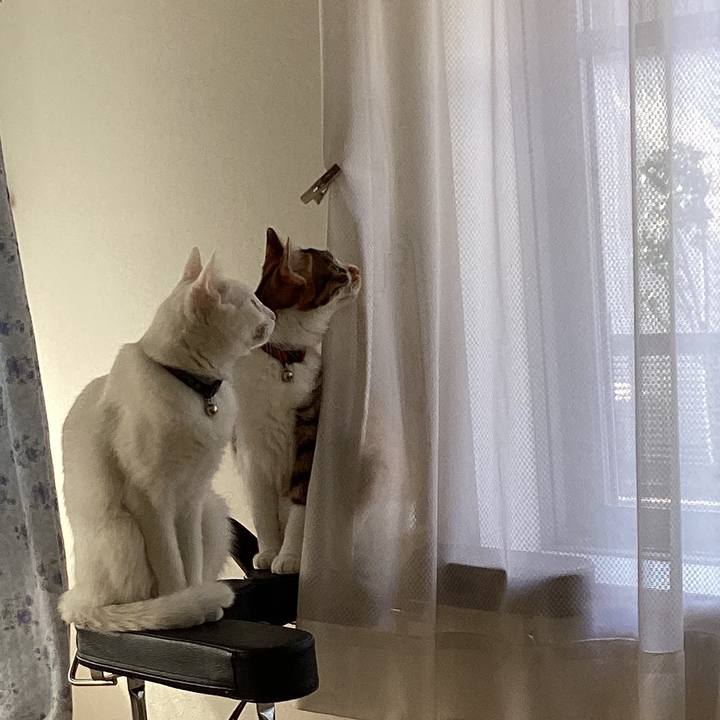 B7856a72 4feb 4f1a b7d3 2bd5260df750 1646970017948