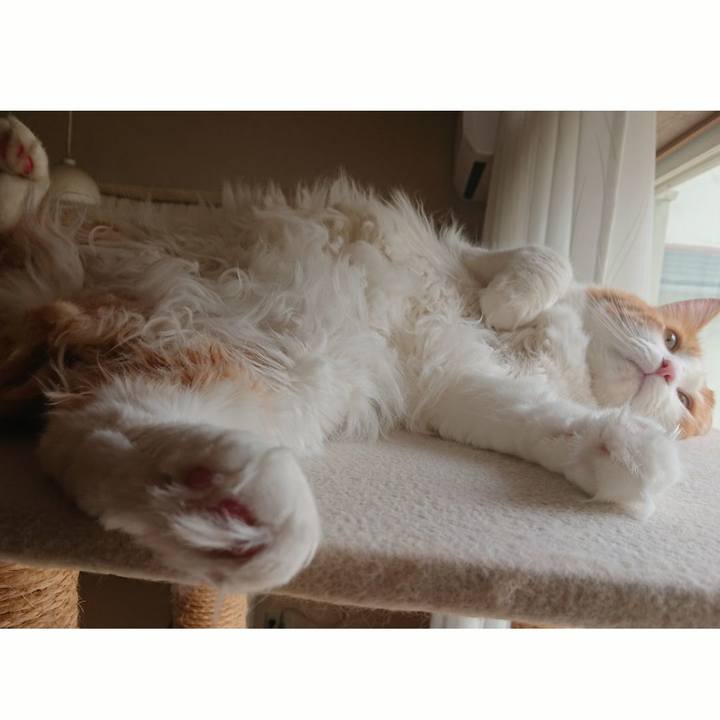 B785ac74 62c0 4225 b893 877262a536e2 1537752423352