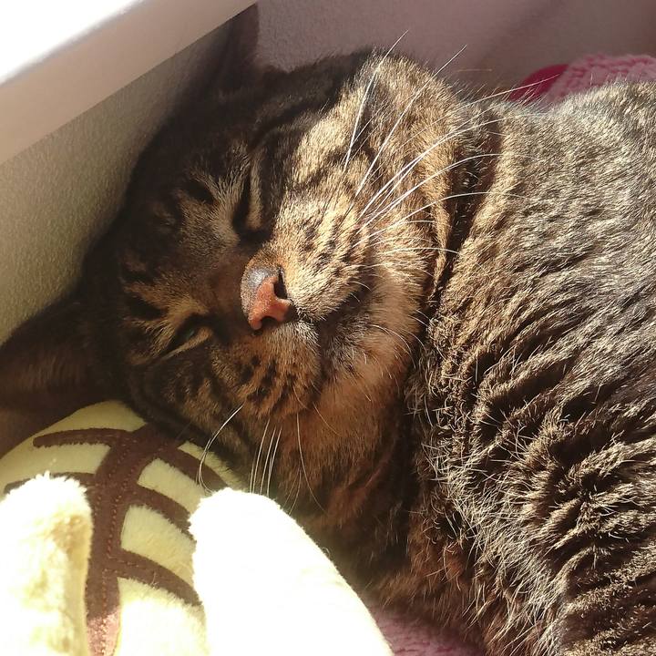 B785aebd 8db3 4735 aa0e e78591fce020 1521863885677