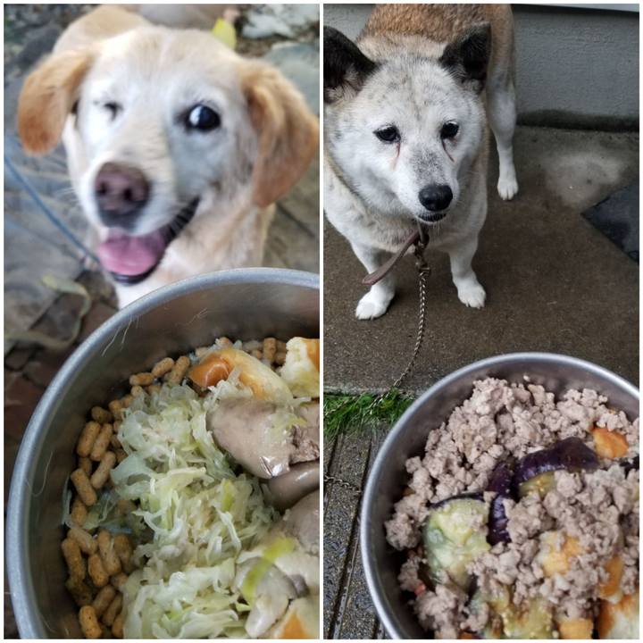 B785b9fa 8186 4f9d a619 d7935731d552 1750475684269