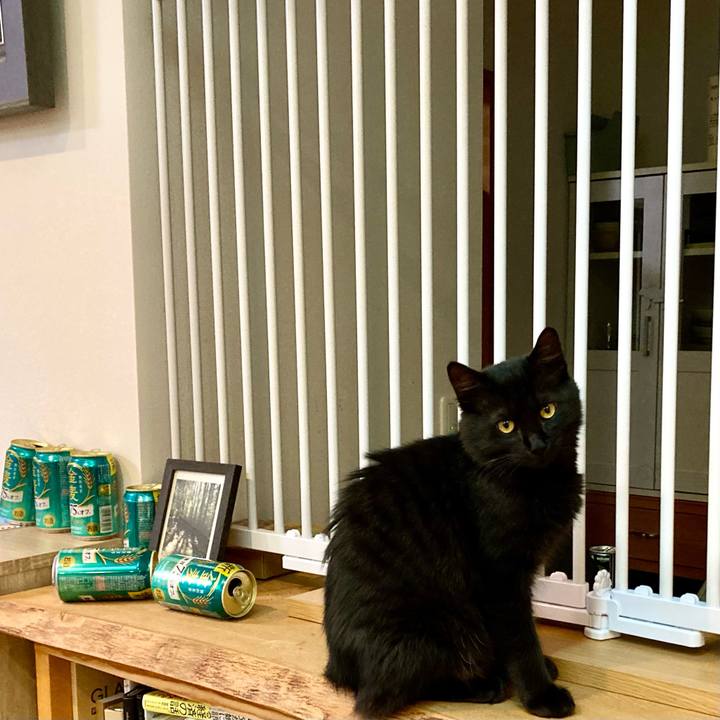 B785c3cb b8bb 4a86 869c 69710d6c8a44 1708608306032