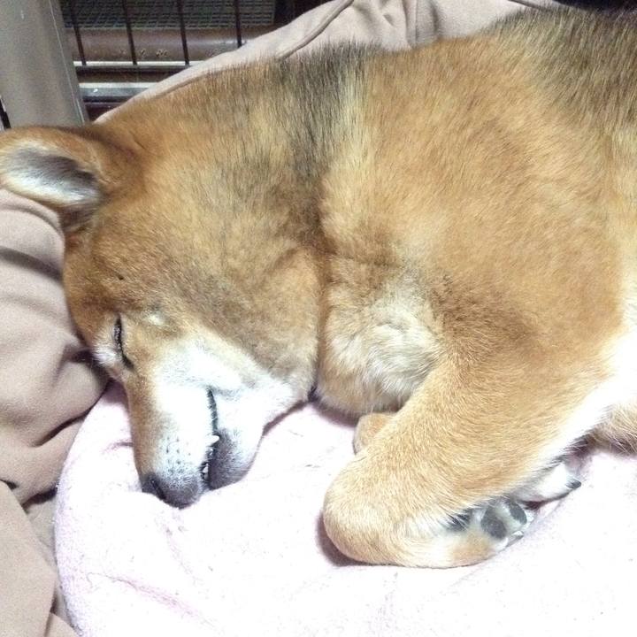 B785fca4 5dc5 4b23 99fe b82e51422dcd 1523090110245