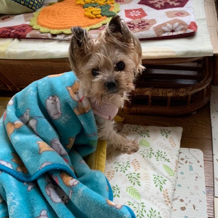 B78625b2 41cd 4352 84db 4b6d02360e9b 1667123560173