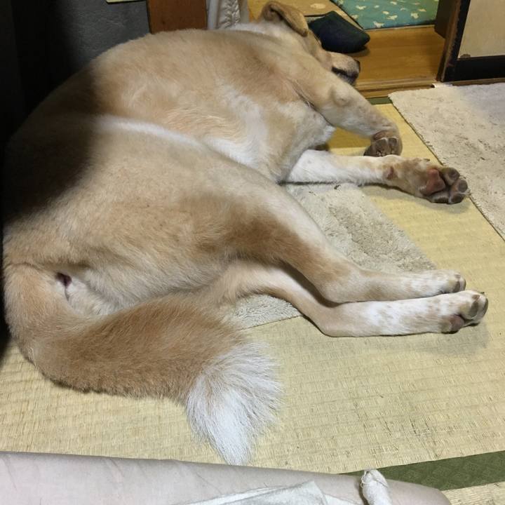 B78635f5 c4f3 4d97 8182 b6a296fd663e 1524307848982