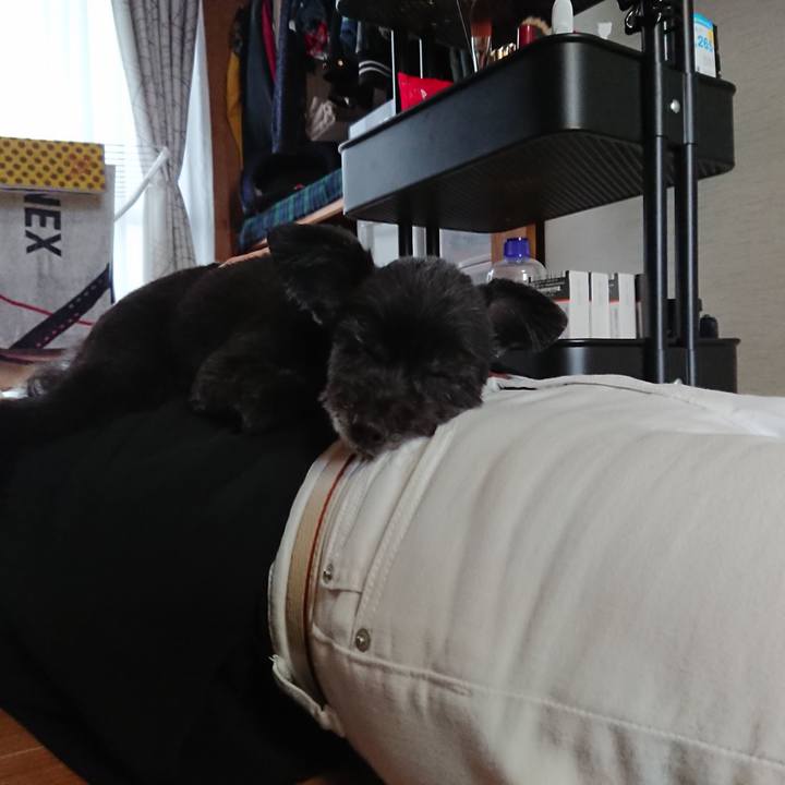 B7863fec f50c 431d 8bee 3f1c26aeab12 1559459172610