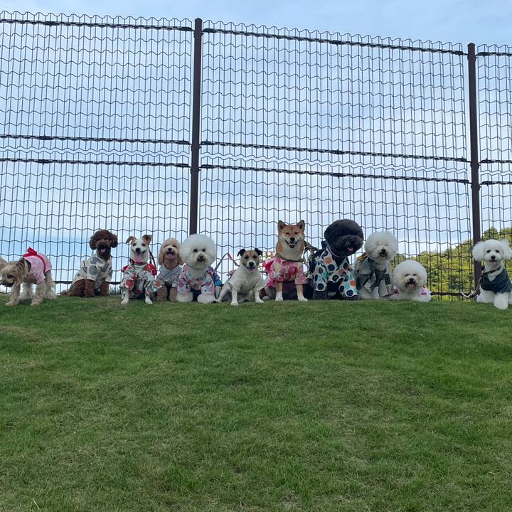 B7867918 8212 4859 8d82 3b8f54a3f971 1659526238213