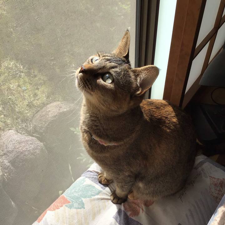 B78694d3 36dd 4e50 b134 55023edd879a 1616718016059