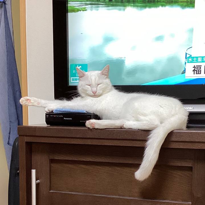 B7869d8b 1b9a 433b 8e15 195eda601e58 1659999240683