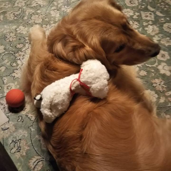 B786be4b 946a 408c a11b 37e590225c61 1523113296010