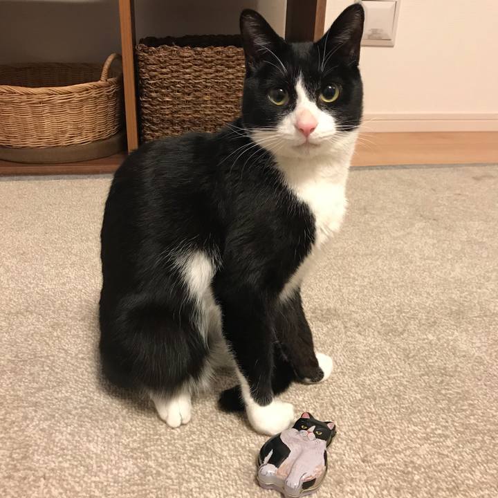 B786beb9 0bd1 4de7 9c97 6578b67ad716 1517473512506