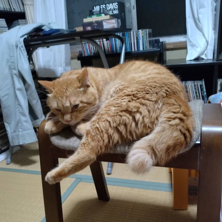 B787673f e2bd 4e33 a80a 0b0e1c9d08d3 1689596045426