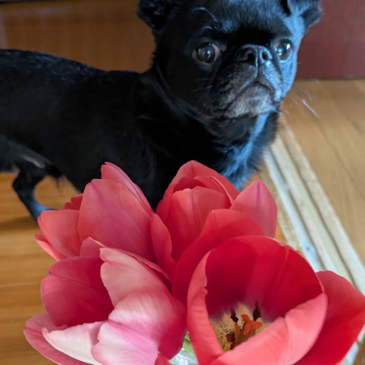 B7876fa0 d12b 4205 b918 275787f02fbb 1774072111109