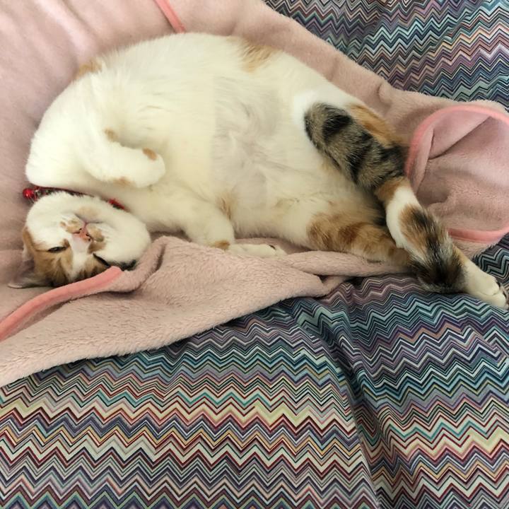 B7879138 f34e 41de ae3e 016ca68596db 1577932993908