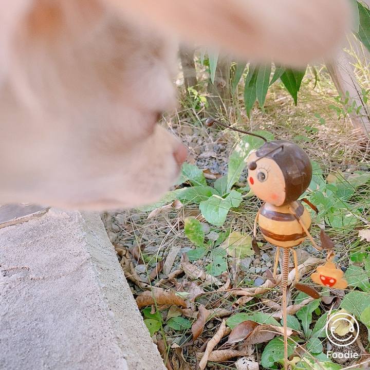 B787fea7 b4e7 4407 b6f6 827088c65091 1608621393565