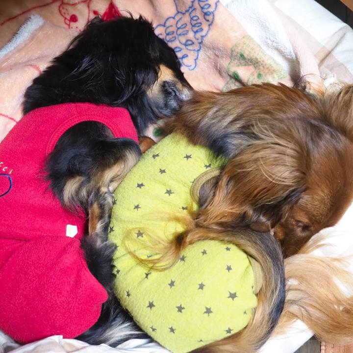 B7881916 23ca 4047 957b df7e12137693 1733550326360