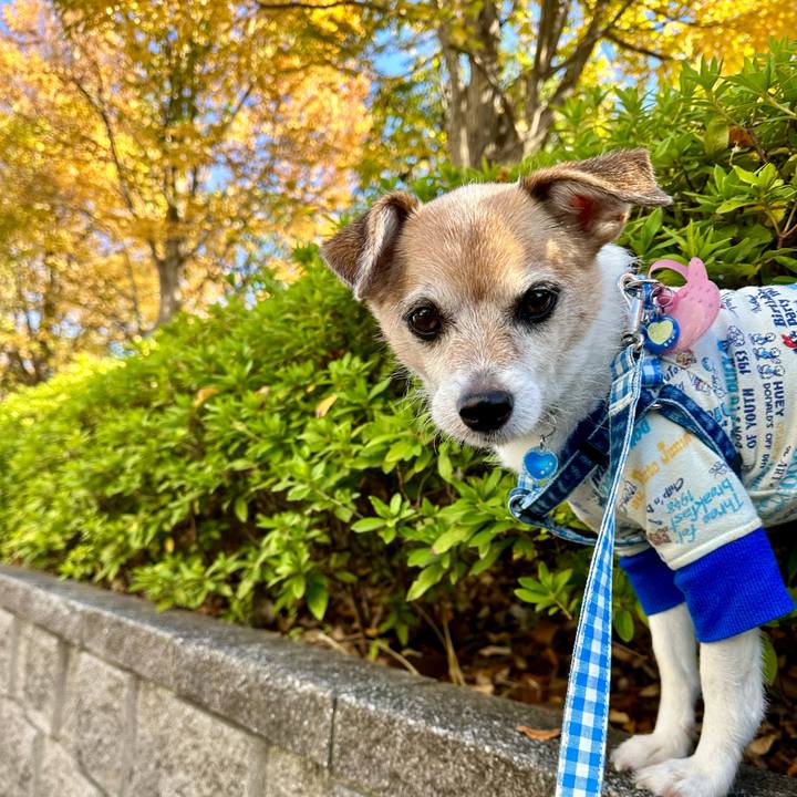 B7881af0 45ca 4762 9897 900d1e3c19c6 1667359260179