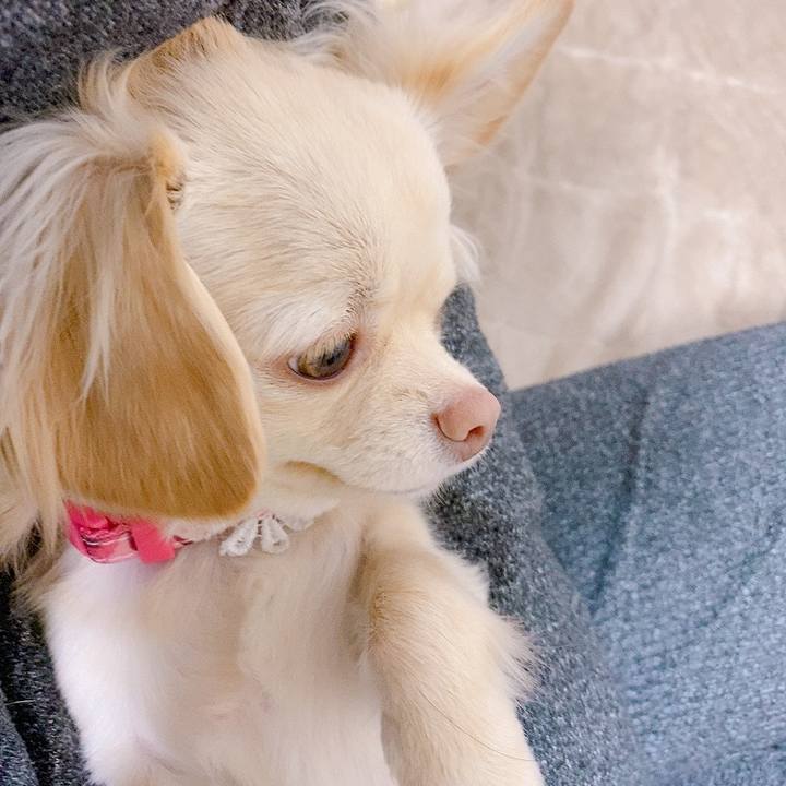 B78823a6 5c43 4415 a4e8 f886b3836f16 1615974435039