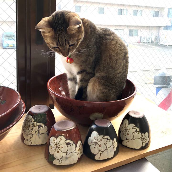 B7883b4c c56a 405a af03 701d1f28ea75 1666152980501