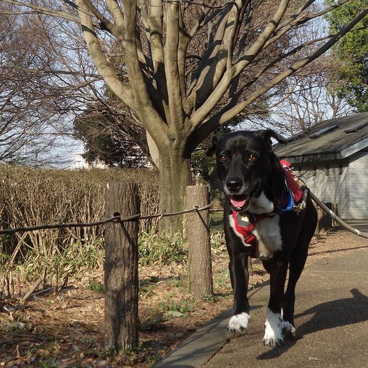 B7884651 78c3 4191 9528 2208ee18ea9b 1678927700258