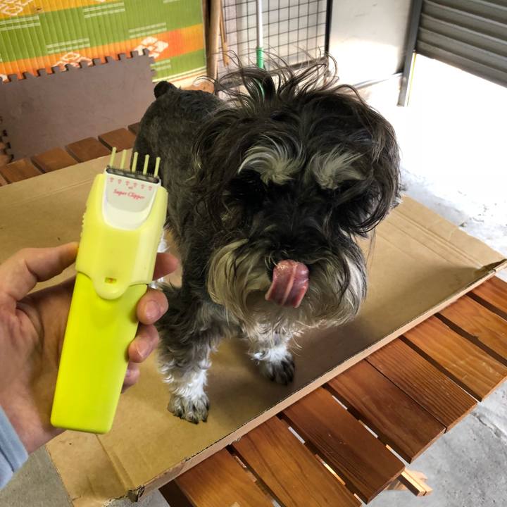 B7886e5a b16f 4688 afb5 6387d8424419 1527942109600