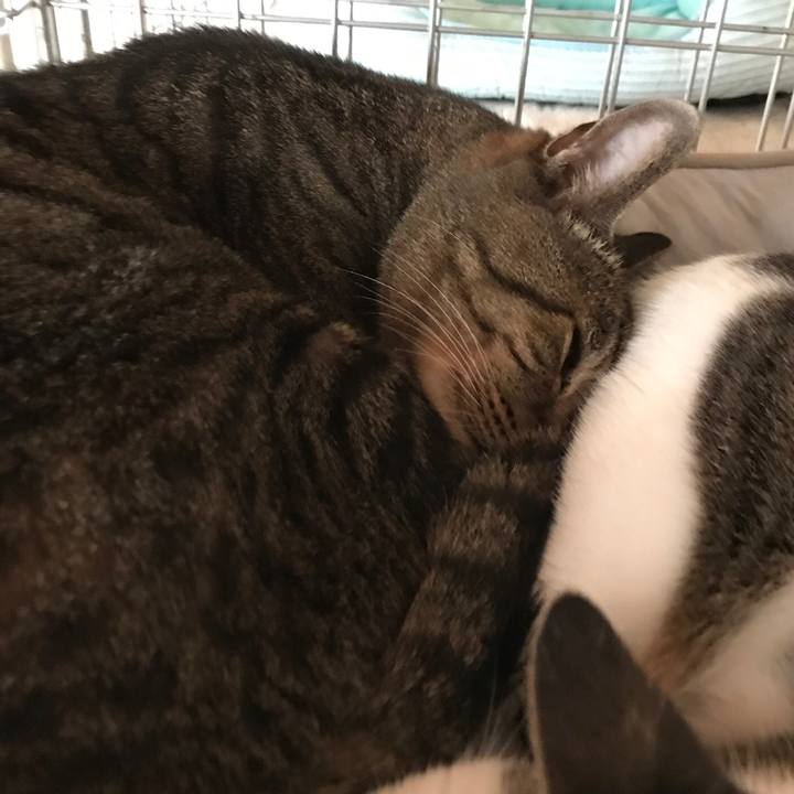 B7887d1b 7f0b 48e6 820e 78718de4e4f1 1536971719694