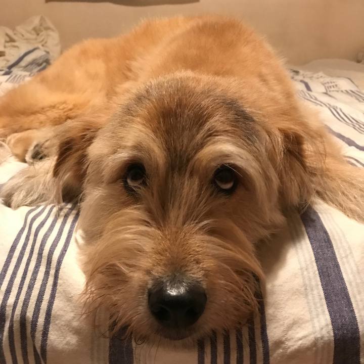 B7889034 c970 4428 b255 f8a0e9482181 1532605835287