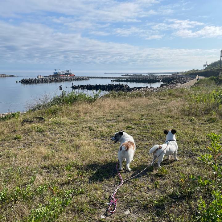 B788a155 b9c0 47d4 a1bb e762b24e2f58 1718060684581