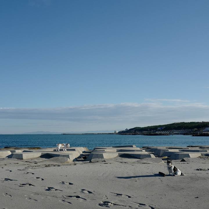 B788ad1b e858 4891 aa02 12efda75513d 1543117139449