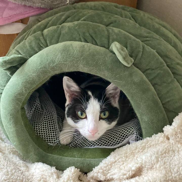 B788c54f b79f 4fc6 98f3 3fe63a6b7b19 1663815595799